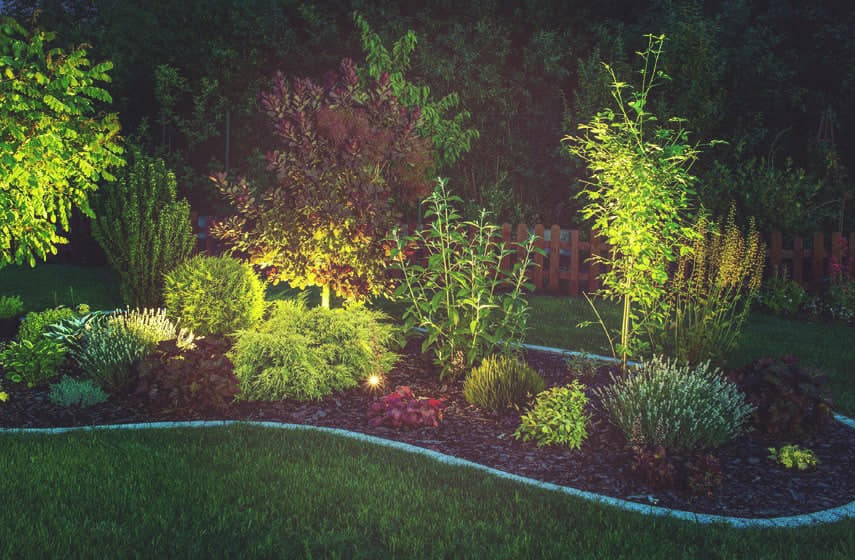 A luz forte dos refletores cria jogos de luz e sombra que destacam os elementos do jardim.